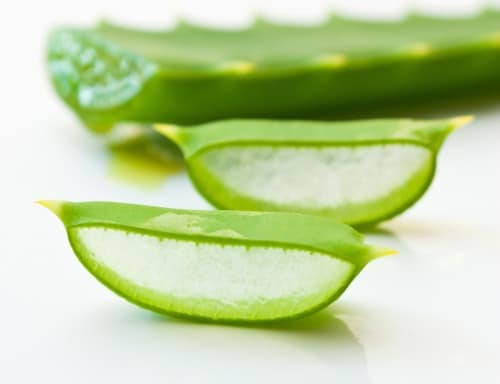 aloe-vera1