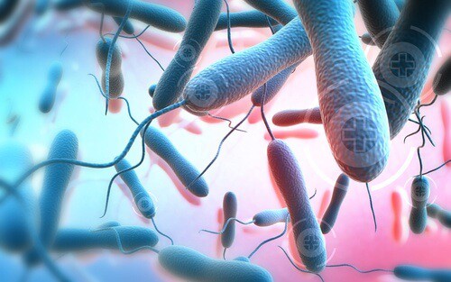 élimine-les-toxines