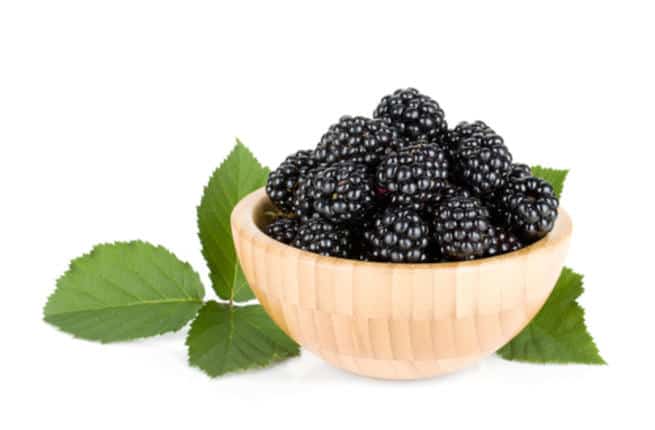 التوت الأسود للحامل