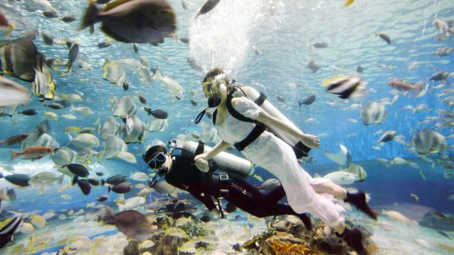 أغرب حفلات الزفاف حول العالم