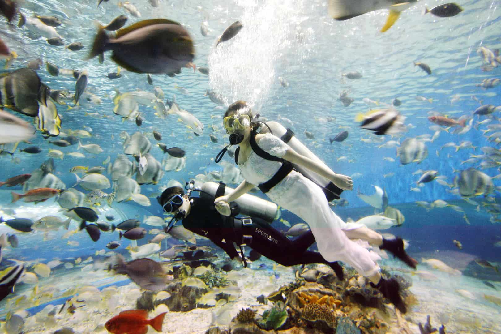 زواج تحت الماء