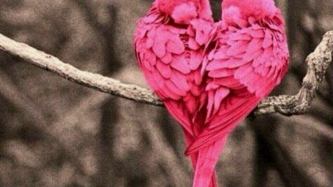 كيف تجددين حبك لزوجك