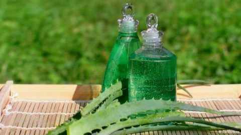 تعرفي على فوائد الألوفيرا الصحية وطريقة الاستخدام