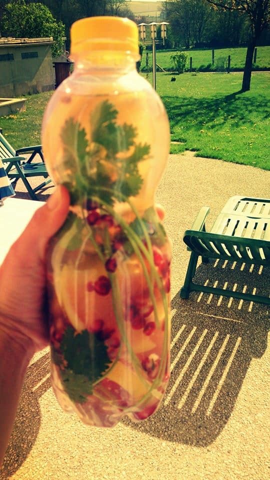 وصفات ماء الديتوكس