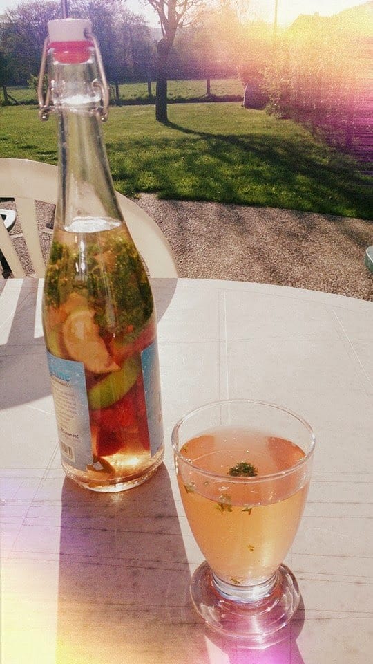 وصفات ماء الديتوكس