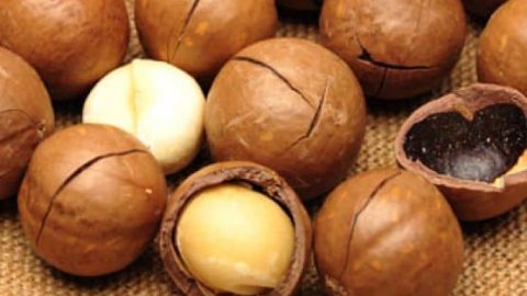 تعرفي على الفوائد التجميلية للماكاديميا