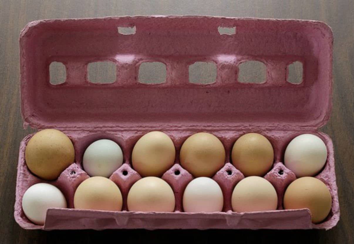 طرق حفظ البيض