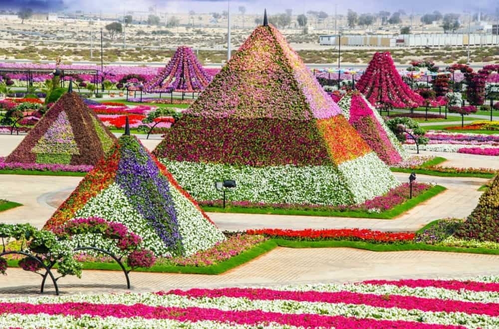 صور دبي ميراكل غاردن