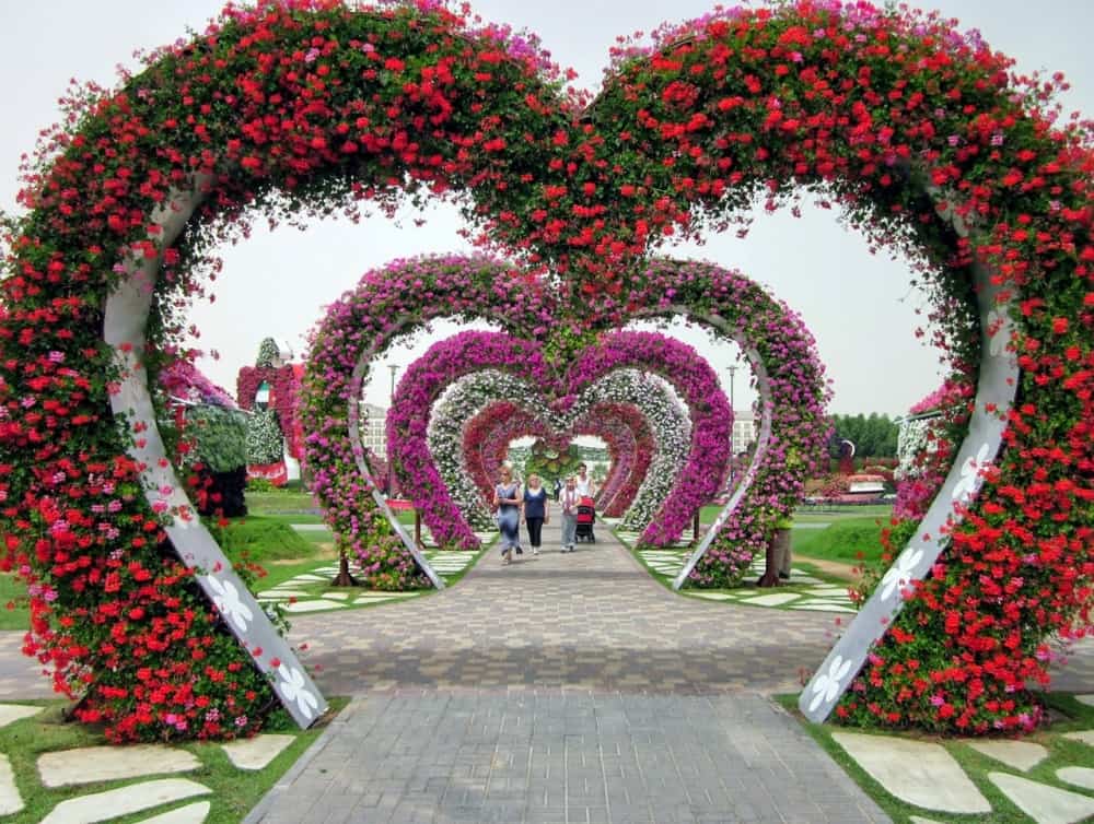 صور حديقة دبي ميراكل غاردن