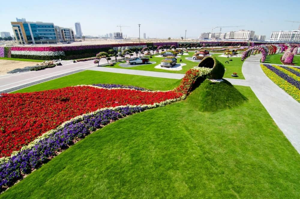 صور حديقة دبي ميراكل غاردن