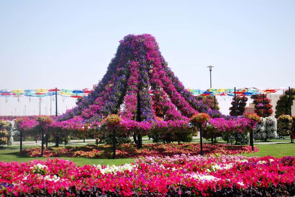 صور حديقة دبي ميراكل غاردن