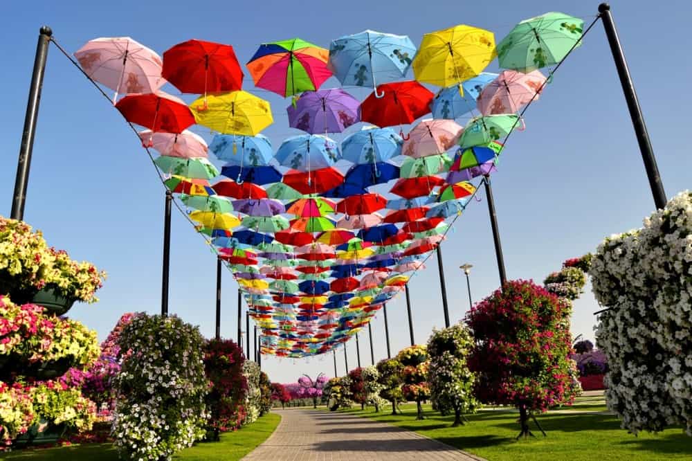 صور حديقة دبي ميراكل غاردن