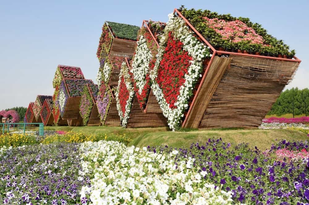 صور حديقة دبي ميراكل غاردن