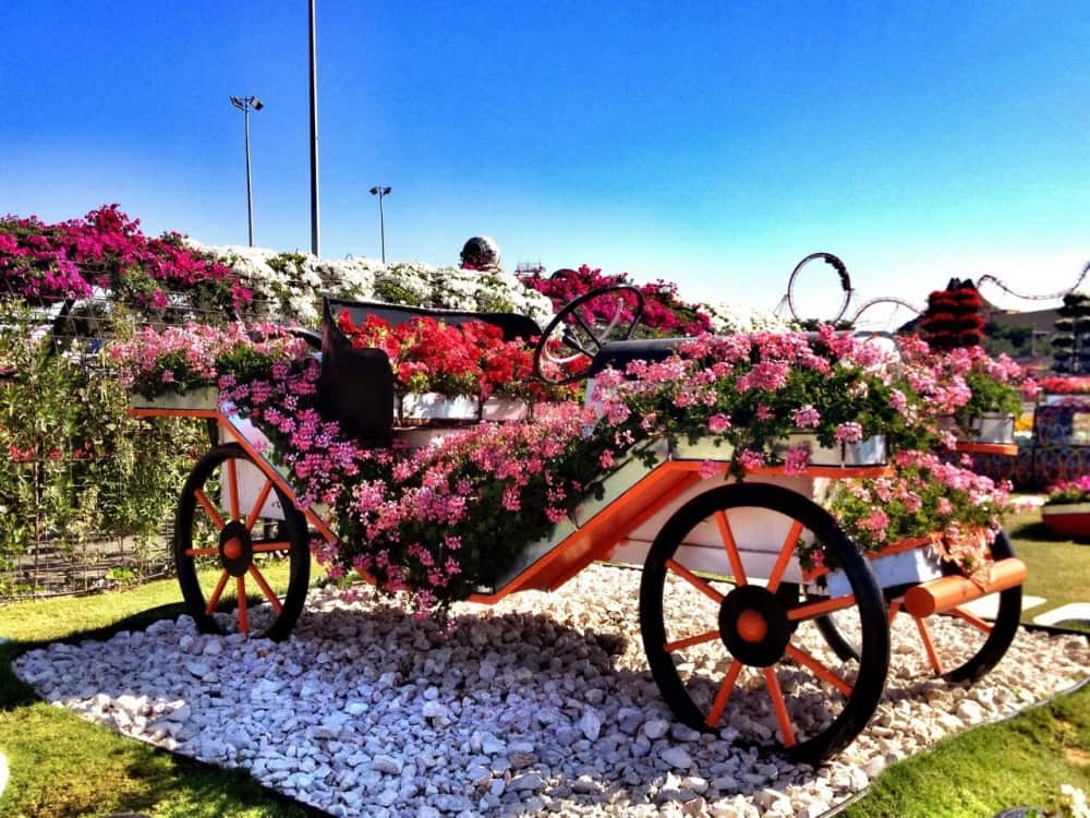 صور حديقة دبي ميراكل غاردن