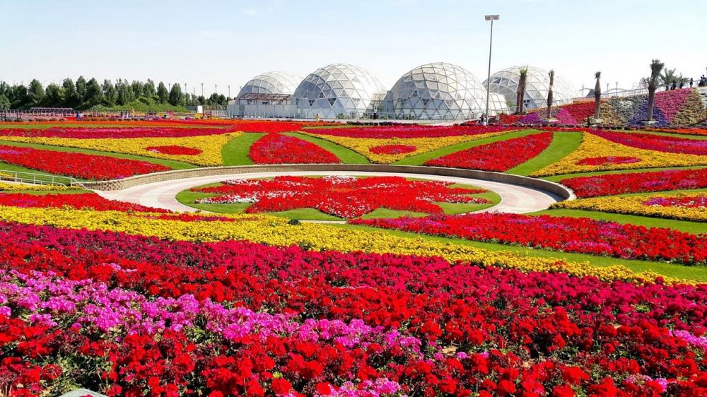 صور الأشكال الهندسية فى حديقة دبي ميراكل غاردن