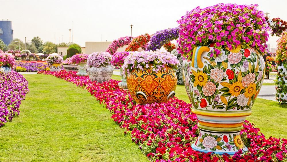 صور الأشكال الهندسية فى حديقة دبي ميراكل غاردن