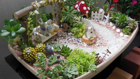 اكتشفي هذه الطرق المبتكرة لإنشاء حديقة منزلية رائعة