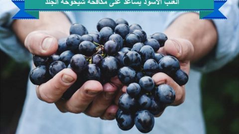 العنب الأسود يساعد على مكافحة شيخوخة الجلد