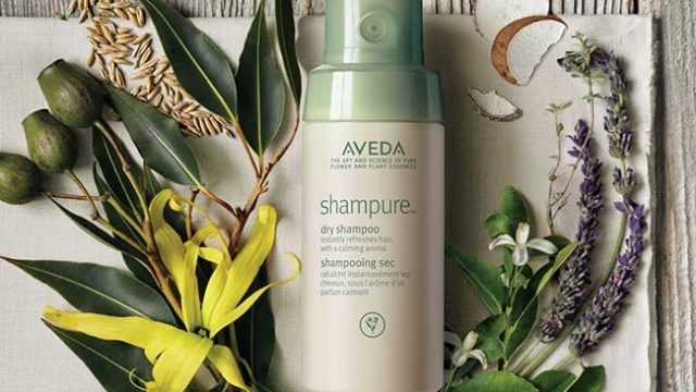 جربي شامبو Aveda من Shampure لشعر حيوي وجذاب
