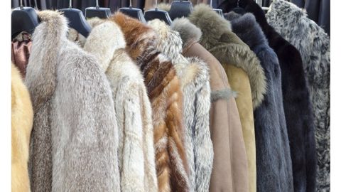 نصائح للحفاظ على جودة ملابس الفرو