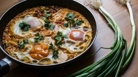 الشكوشوكة التركية