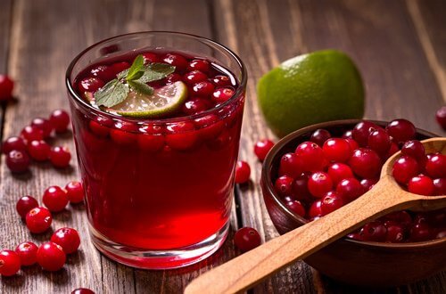 فوائد التوت البري