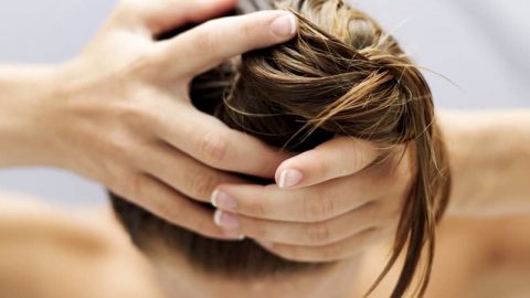 حلول عملية للشعر الدهني