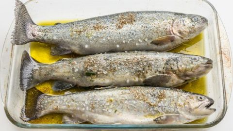 ألذ تتبيلة سمك مشوي