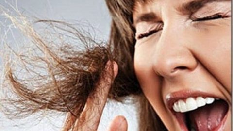 أفضل العلاجات الطبيعية للشعر المحروق