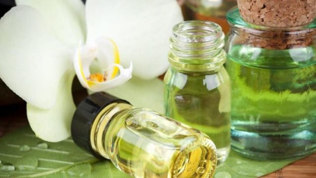 فائدة ذهبية تجهلينها عن زيت النمل