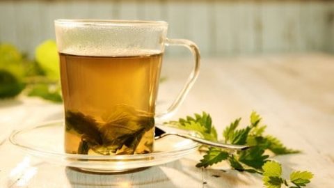 الليمون ونبات القراص للعلاج فقر الدم