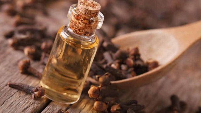 القرنفل.. أقوى المطهرات الطبيعية!