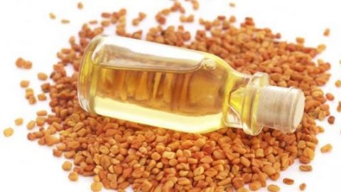 خلطة زيت الحلبة للعناية بالشعر