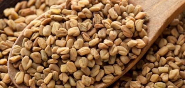 العناية بالشعر