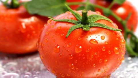 معلومات غذائية هامة حول فوائد الطماطم