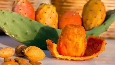 تعرفي على الاستخدامات الجمالية للتين الشوكي