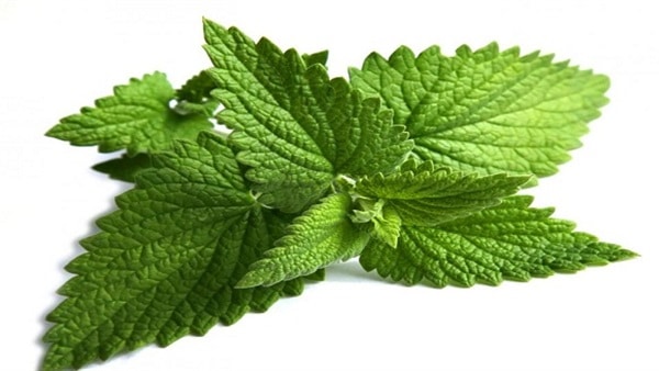 طرق العناية بالبشرة الدهنية