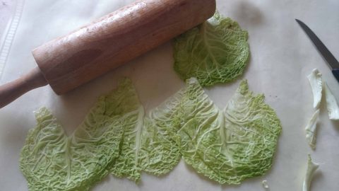 الملفوف لعلاج حب الشباب