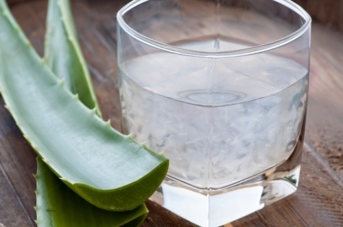 aloe-500x332