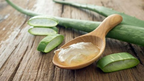 3 طرق مختلفة للتخسيس باستخدام الألوة فيرا