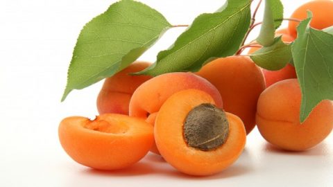 اصنعي بنفسك عطر بنكهة المشمش