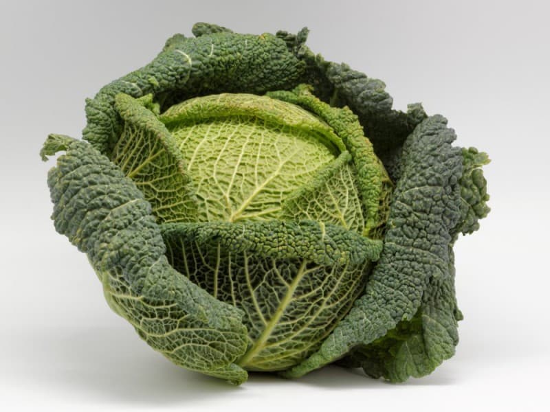 فوائد الملفوف