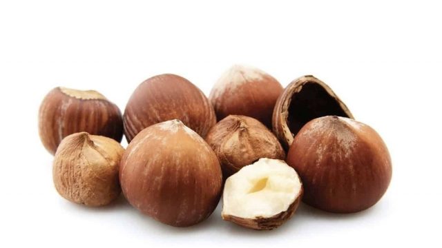 فوائد البندق الرائعة للصحة