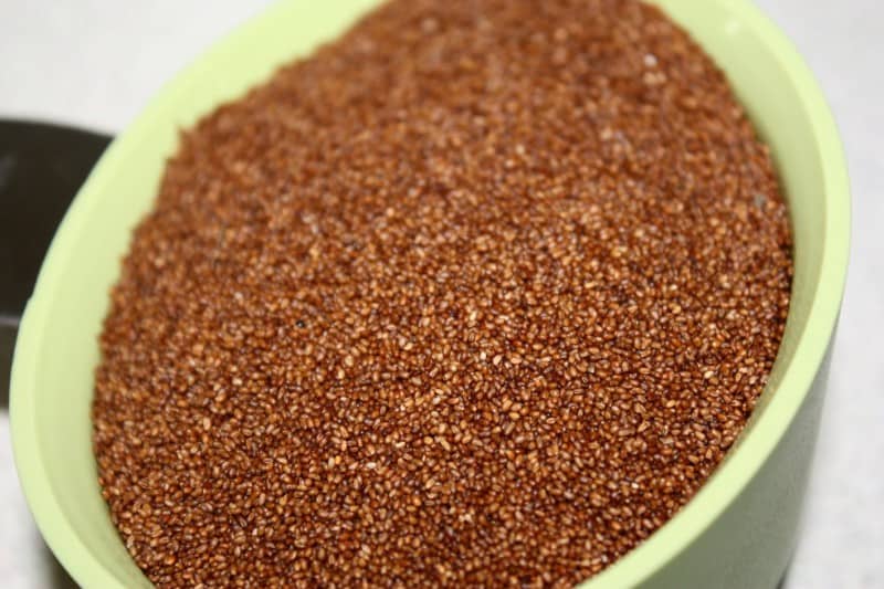 teff1-800x533