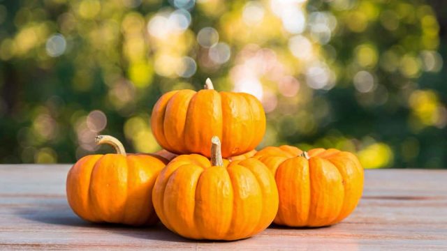 فوائد اليقطين المذهلة لتعزيز صحتك