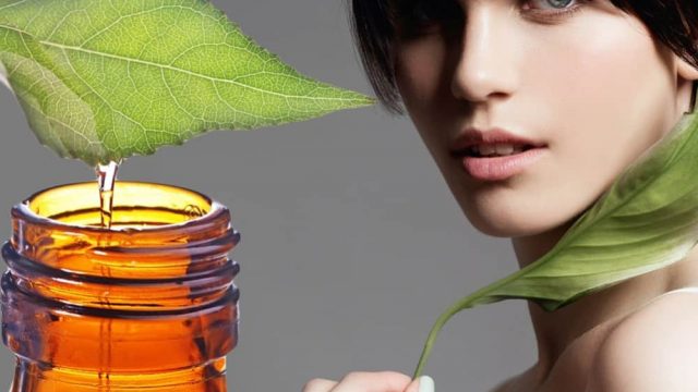 جربي زيت عشبة البلقاء لعلاج التهابات المهبل والإكزيما