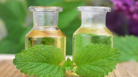 إليك غسول النعناع والبقدونس للبشرة الدهنية