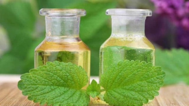 إليك غسول النعناع والبقدونس للبشرة الدهنية