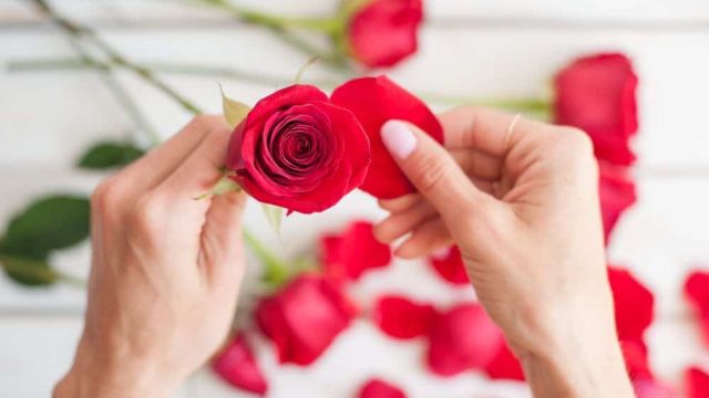 قناع ماء الورد للعناية بالبشرة