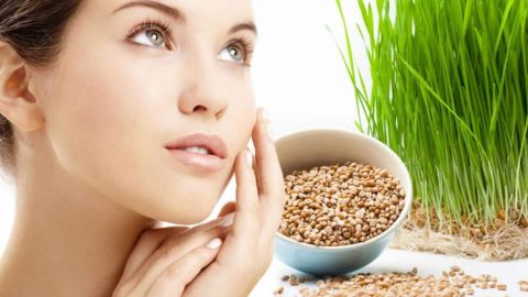 تعرفي على فوائد زيت جنين القمح على البشرة وكيفية استخدامه